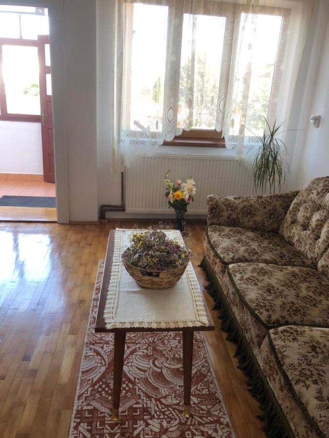 Doi Bujori Lejlighed Alba Iulia Eksteriør billede